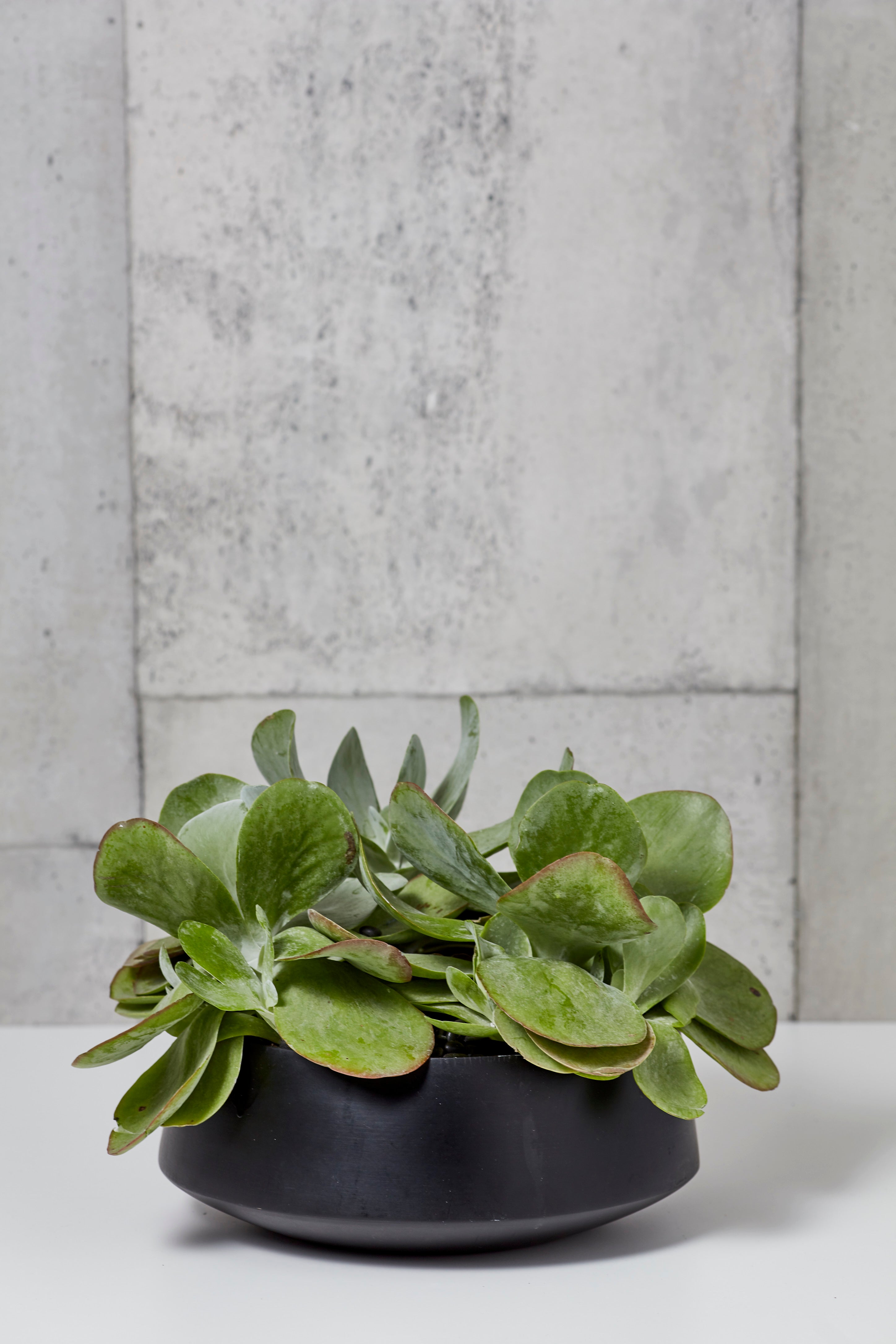 black and white plant pot Black & White Checkered Garden Urn Planter