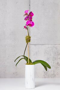 LAYER Jane 1 Fuchsia Phalaenopsis Orchids, tall White marble planter