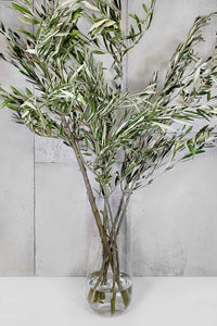 LAYER OLIVE BRANCHES, CLEAR CYLINDER GLASS VASE