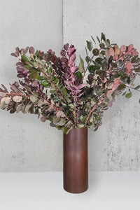 SMOKEBUSH