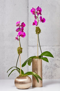 LAYER Liberty Duo, Fuchsia Moth Orchids