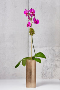LAYER - LAIGHT 1 Fuchsia Moth Orchids, gold metallic planter
