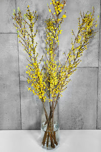 LAYER Forsythia Yellow indoor branches, clear vase