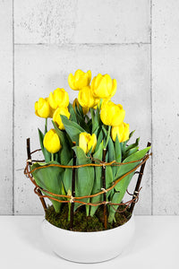 RIVERSIDE yellow tulips, white planter small