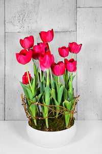 LAYER Riverside small red tulips, white ceramic planter