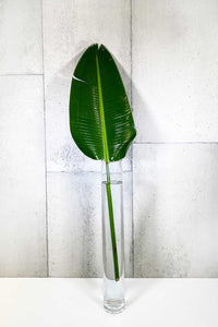 LAYER Bird of Paradise Leaf Fresh-Cut Branch, glass cylinder vase
