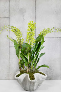 layer orchid customization, grey planter